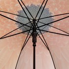 Зонт - трость полуавтоматический «Gerbera», 8 спиц, R = 45 см, цвет МИКС - Фото 3