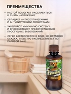 Настой для бани противопростудный Laboratory Katrin с эфирным маслом пихты, экстрактами аниса и мяты, 250 мл - Фото 2