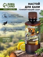 Настой для бани тонизирующий Laboratory Katrin с эфирным маслом лимона, экстрактами пихты и шалфея, 250 мл - Фото 1
