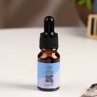 Эфирное масло «Лаванда», удобный дозатор, 10 мл, «Богатство Аромата» - Фото 2