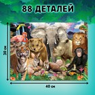 Обучающий набор «Животные нашей планеты», мини-энциклопедия и пазл, 88 элементов - Фото 6