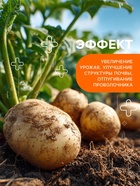 Картофельная формула, удобрение для картофеля, 5 кг - Фото 6
