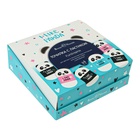 Точилка BrunoVisconti. FunGraphix «Панда», с контейнером, МИКС 6969351 - фото 8982214