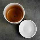 Горшок цветочный с поддоном 0,9л, белый с рисунком керамика, "Травинка" (М) - фото 43238903