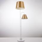 Бело-шампань