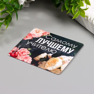 Магнит на холодильник «Учитель», винил, 7×6 см