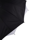 Зонт - трость полуавтоматический «Однотонный», двухслойный, 16 спиц, R = 52 см, цвет МИКС - Фото 6