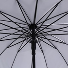 Зонт - трость полуавтоматический «Однотонный», двухслойный, 16 спиц, R = 52 см, цвет МИКС - Фото 7
