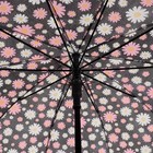 Зонт - трость полуавтоматический «Ромашковое поле», 10 спиц, R = 51 см, цвет МИКС - Фото 2