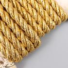 Тесьма декоративная шнур "Золотой" намотка 2 м ширина 0,6 см - фото 8063137