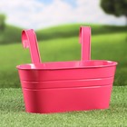 Кашпо подвесное «Ванночка», 26×14×12 см, МИКС - Фото 8