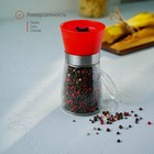 Мельница для специй Доляна «Модерн», 180 мл, 6.5×13 см, красная - Фото 3