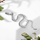 Брошь "Змея" извилистая, цвет серебро - Фото 2