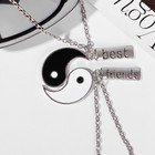 Кулоны «Неразлучники» ин-ян, дружба, цвет чёрно-белый в серебре, 45 см - Фото 2