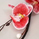 Декор тинги "Орхидея королевская" 150 см, микс - фото 6422963