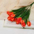 Букет "Тюльпаны очарованье" 30 см, микс - фото 318532622