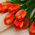 Букет "Тюльпаны очарованье" 30 см, микс - Фото 2