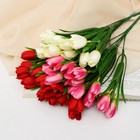 Букет "Тюльпаны очарованье" 30 см, микс - Фото 4