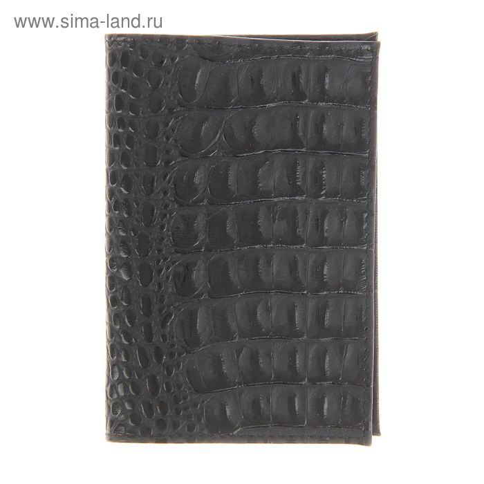Обложка для паспорта, цвет чёрный - Фото 1