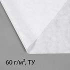 Материал укрывной, 20 × 3.2 м, плотность 60 г/м², спанбонд с УФ-стабилизатором, белый, Greengo, Эконом 30% - Фото 6