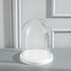 Стеклянный купол-клош на деревянной подставке «Венсан», 20×15 см, белый - Фото 3