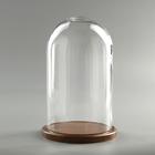 Стеклянный купол-клош на деревянной подставке «Венсан», 25×15 см, коричневый - Фото 1