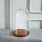Стеклянный купол-клош на деревянной подставке «Венсан», 25×15 см, коричневый - Фото 3