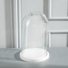Стеклянный купол-клош на деревянной подставке «Венсан», 25×15 см, белый - Фото 3