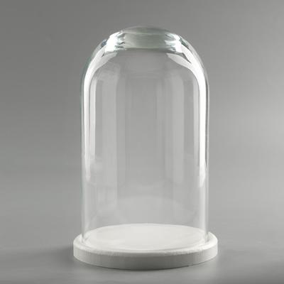 Стеклянный купол-клош на деревянной подставке «Венсан», 25×15 см, белый