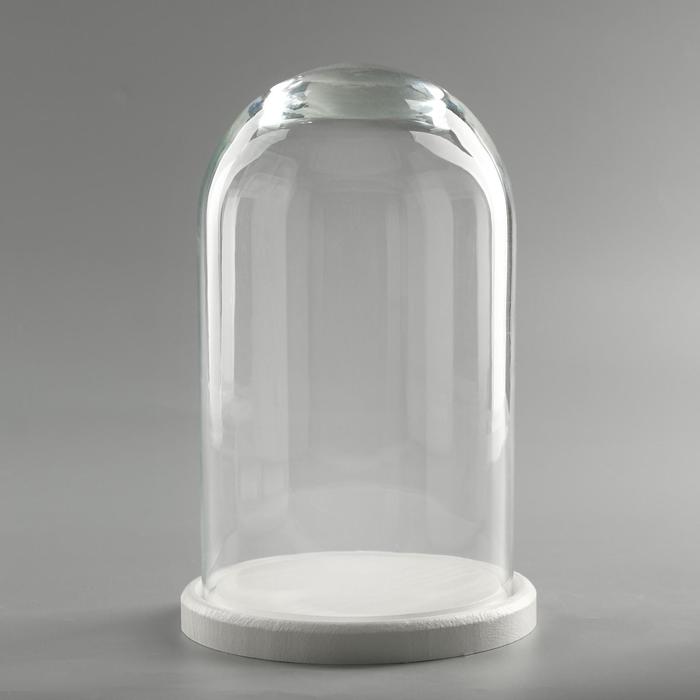 Стеклянный купол-клош на деревянной подставке «Венсан», 25×15 см, белый - Фото 1