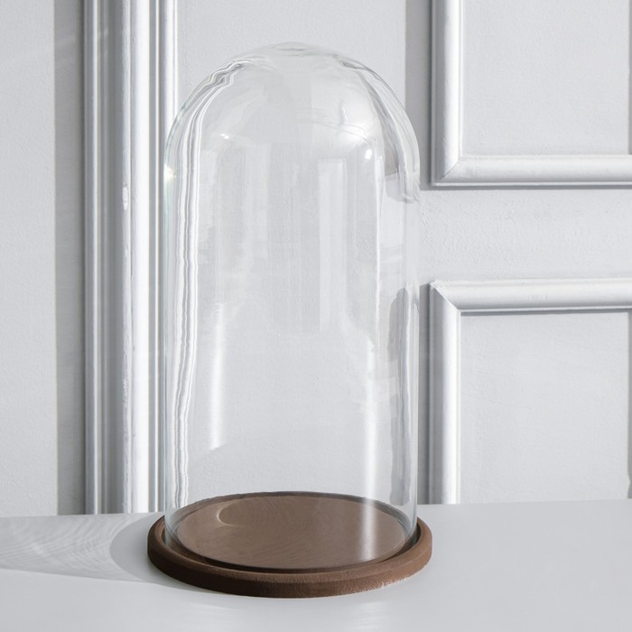 Стеклянный купол - клош на деревянной подставке «Венсан», 30×17 см, коричневый