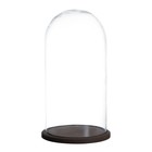 Стеклянный купол-клош на деревянной подставке «Венсан», 30×15 см, коричневый - Фото 1