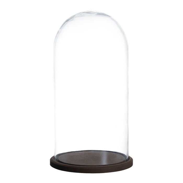 Стеклянный купол-клош на деревянной подставке «Венсан», 30×15 см, коричневый - Фото 1
