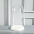 Стеклянный купол-клош на деревянной подставке «Венсан», 30×15 см, белый - Фото 3