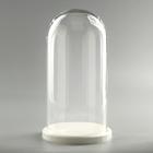 Стеклянный купол-клош на деревянной подставке «Венсан», 30×15 см, белый - Фото 1