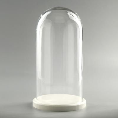Стеклянный купол-клош на деревянной подставке «Венсан», 30×15 см, белый