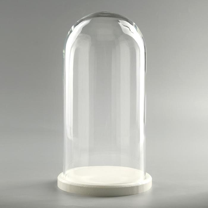 Стеклянный купол-клош на деревянной подставке «Венсан», 30×15 см, белый - Фото 1