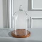 Стеклянный купол-клош с шариком на подставке «Родрик», 27×15 см, коричневый - Фото 3