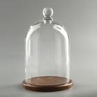 Стеклянный купол-клош с шариком на подставке «Родрик», 27×15 см, коричневый - Фото 1