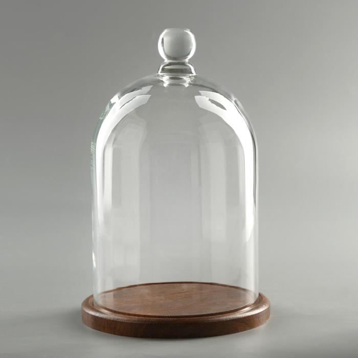 Стеклянный купол-клош с шариком на подставке «Родрик», 27×15 см, коричневый - Фото 1