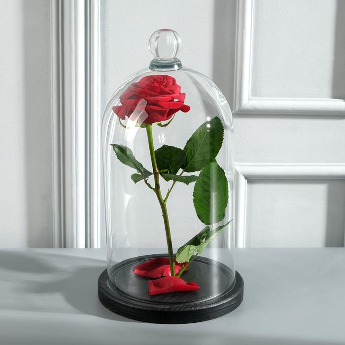 Стеклянный купол - клош с шариком на подставке «Родрик», 29×15 см, чёрный