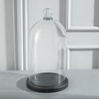 Стеклянный купол-клош с шариком на подставке «Родрик», 29×15 см, чёрный - Фото 3