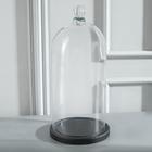 Стеклянный купол - клош с шариком на деревянной подставке «Родрик», 34×15 см, стекло, чёрный - Фото 3