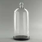 Стеклянный купол - клош с шариком на деревянной подставке «Родрик», 34×15 см, стекло, чёрный - Фото 1