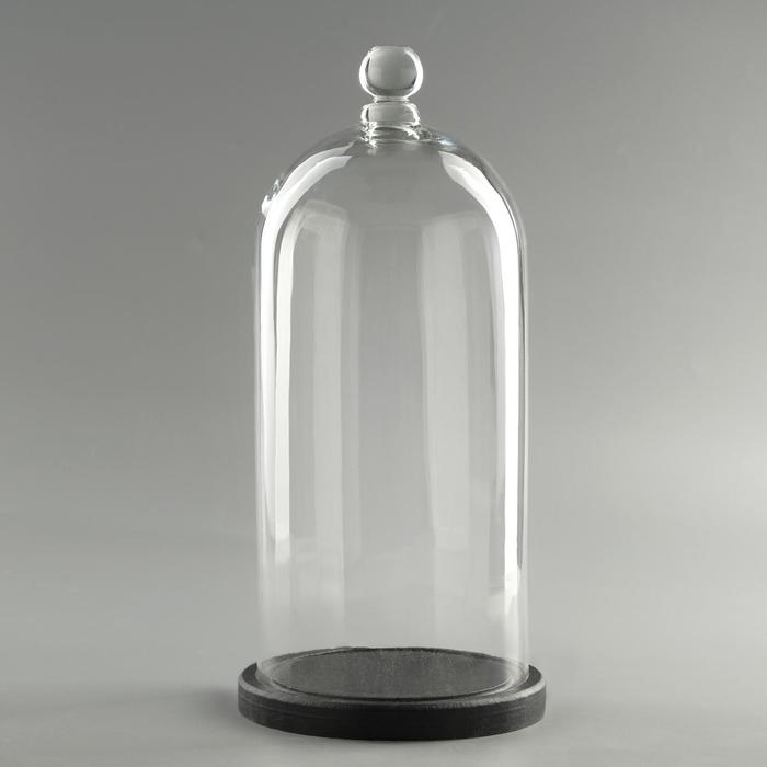 Стеклянный купол - клош с шариком на деревянной подставке «Родрик», 34×15 см, стекло, чёрный - Фото 1