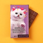 Шоколад молочный «Скушай шоколадку», 27 г. - Фото 1