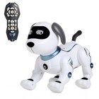 Робот-собака радиоуправляемый «Пёс», свет, звук, работает от батареек, уценка (мятая упаковка) - Фото 1