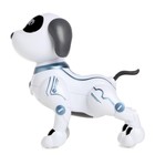Робот-собака радиоуправляемый «Пёс», свет, звук, работает от батареек, уценка (мятая упаковка) - Фото 2