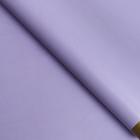 Бумага глянцевая "Золотая полоса", дымчатая, 1 х 0,7 м, 2 шт. - Фото 2