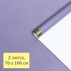 Бумага глянцевая "Золотая полоса", дымчатая, 1 х 0,7 м, 2 шт. - Фото 4